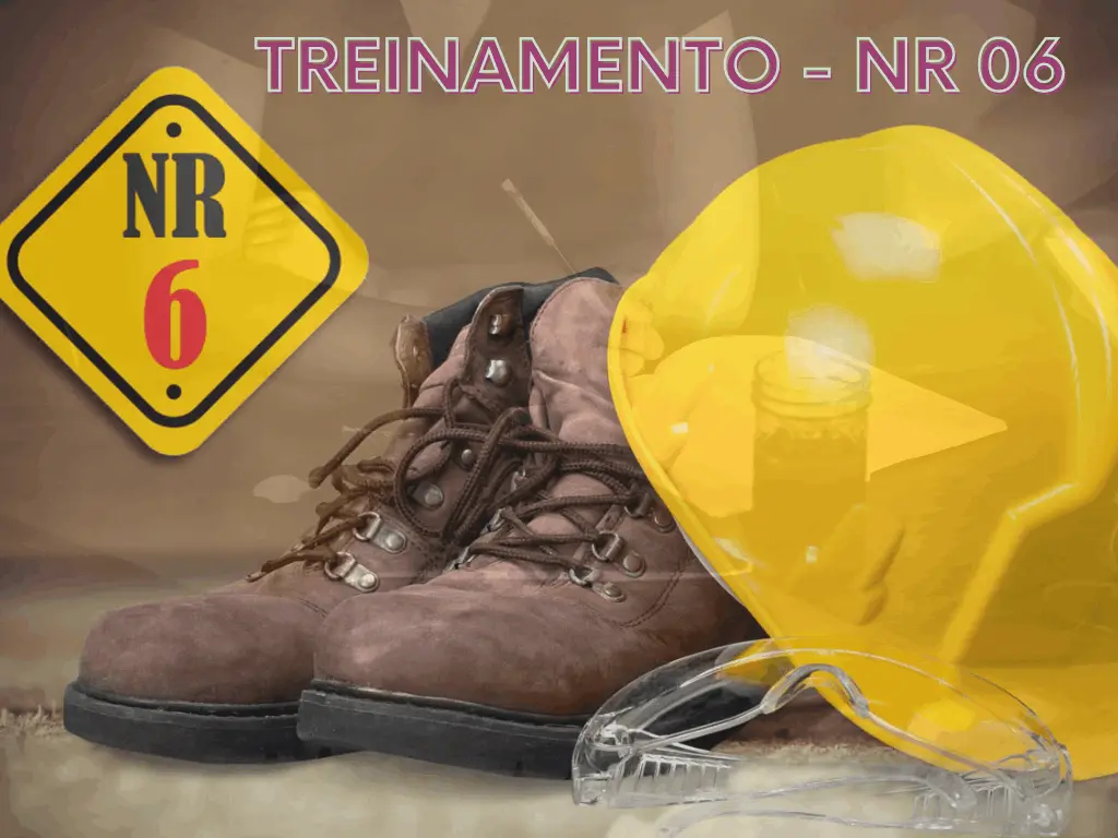 Treinamento NR 06